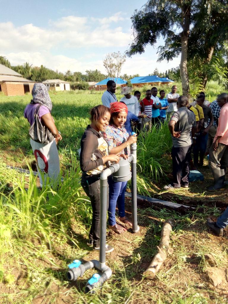 shambaniconsult's tweet photo. #DidYouKnow?
Women make up 43% of the global agricultural labour force.
Let's ensure they have equal access to land, seeds, tools and inputs so they can grow more, earn more and thrive. https://t.co/zy13nsOYOQ