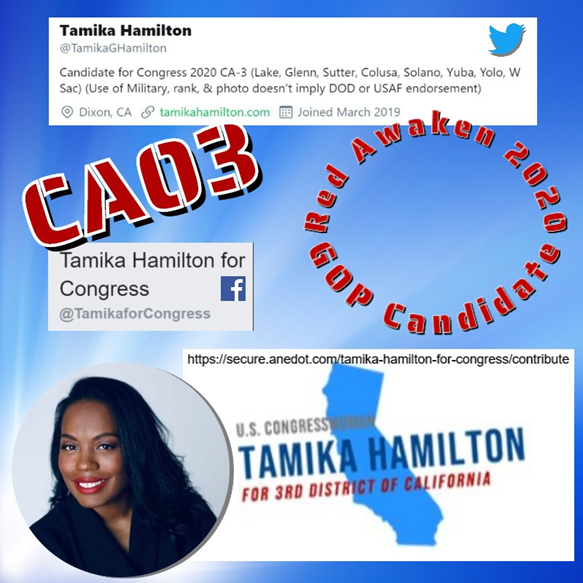 TheBocaJew's tweet photo. All day long I hear "California is lost"

Well looky here... California is NOT lost and California can and will turn red again sooner than you think.

Check out my friend @TamikaGHamilton 👇👇👍👍💪💪running for congress in the 3rd congressional district.

#MakeCAredagain #MAGA https://t.co/dzKdEmwAuJ