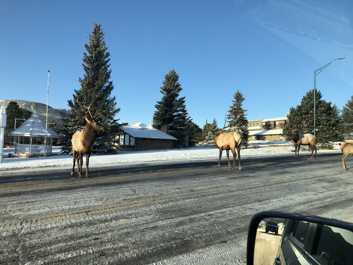 HollyCharbo's tweet photo. @mollyhalpin11 @KyleClark Estes traffic jam. #NiceCommute https://t.co/hqhPRWmSlh