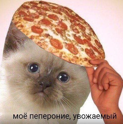 Morgan05099062's tweet photo. @tottiko_ https://t.co/T5kbzv5NNS