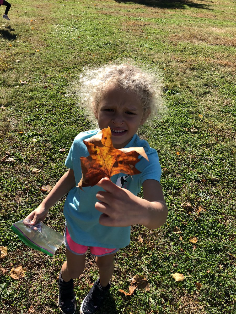 Mrs. Cheyne tweet media