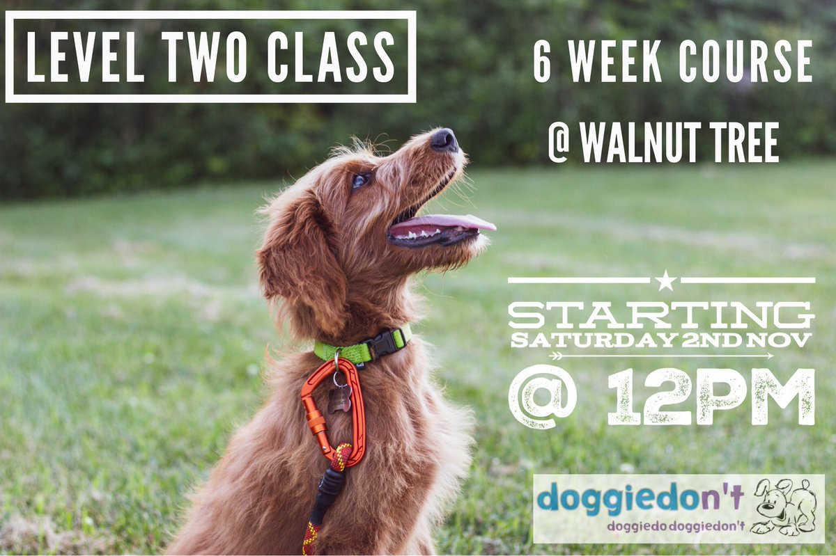 Level two class starting 2nd November #trainingclasses #herewecome #dogtraining #lovedog #miltonkeynes #northampton