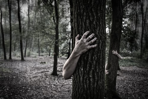 Get Lost with us in the Dark Forest of Terror, tonight at LATE NIGHT TALES at the LIBRARY, Capitol Hill Branch, 8 p.m. <a href="/LitCrawlSeattle/">Lit Crawl Seattle</a> 
post.spl.org/33GW3Wa