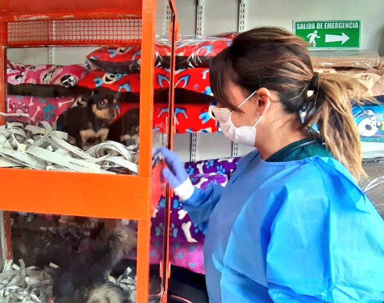 AnimalesBOG's tweet photo. #ATENCION En este momento con acompañamiento de #GupaeMeBog estamos en operativo a establecimientos comerciales de la Av. Caracas con Calle 56, para garantizar el bienestar de los animales. https://t.co/8ifj8DXwTH