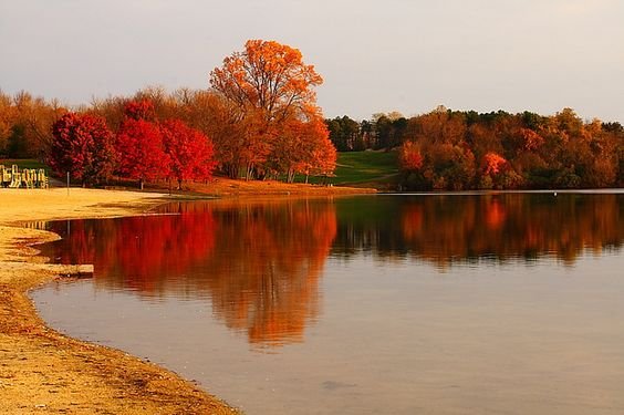 Mystique (@mystiq_princess) on Twitter photo 