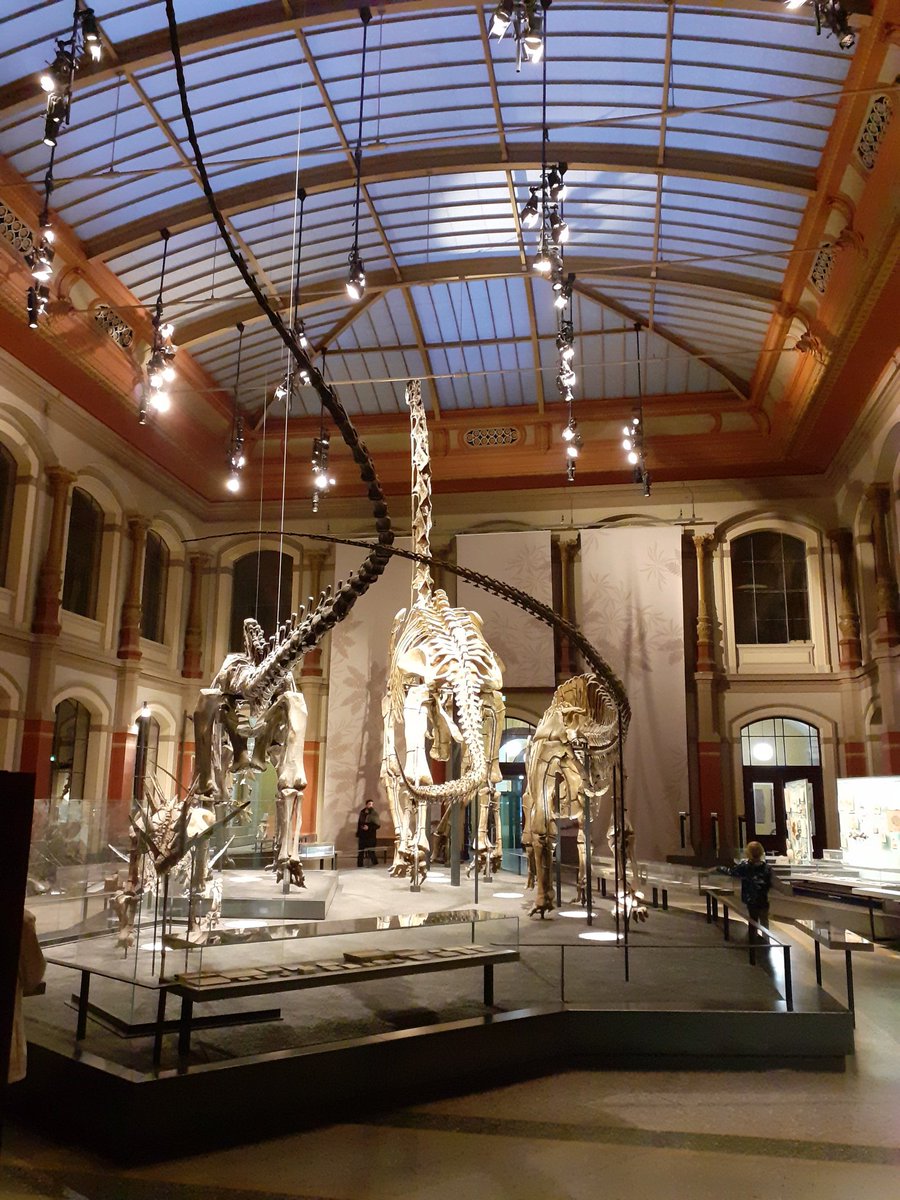 jeb_140's tweet image. #AlleForschenMit: heute in Berlin, dank @sophiasprengel @mimizbi @zlb_Berlin @mitforschen und #FellowsFreiesWissen mit @saxorum @SLUBdresden. Bericht dann im #SLUBlog; erstes Fazit: fast ein Dutzend gute Gespräche, gut informiertes Publikum ... auch aus Friesland. #CitizenScience