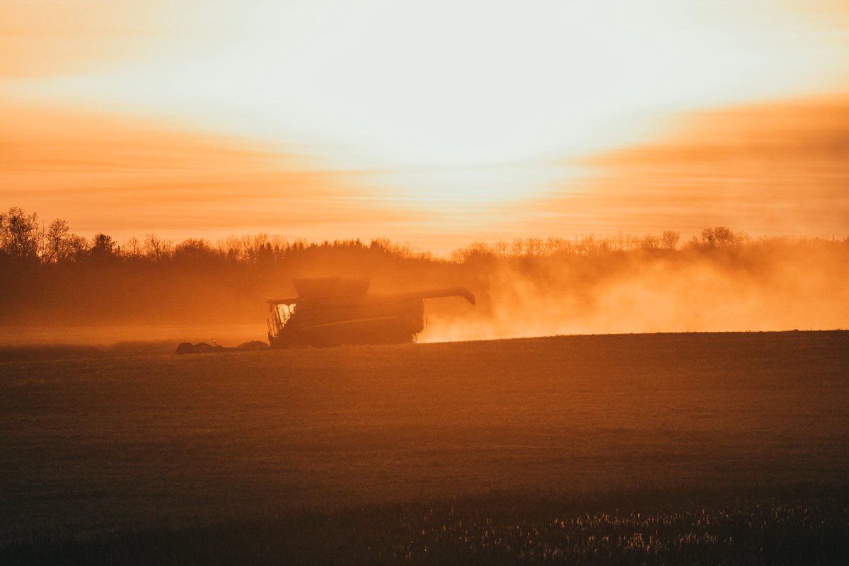 #harvest2019 <a href="/Cropmgmtnetwork/">Crop Management Network Inc.</a>