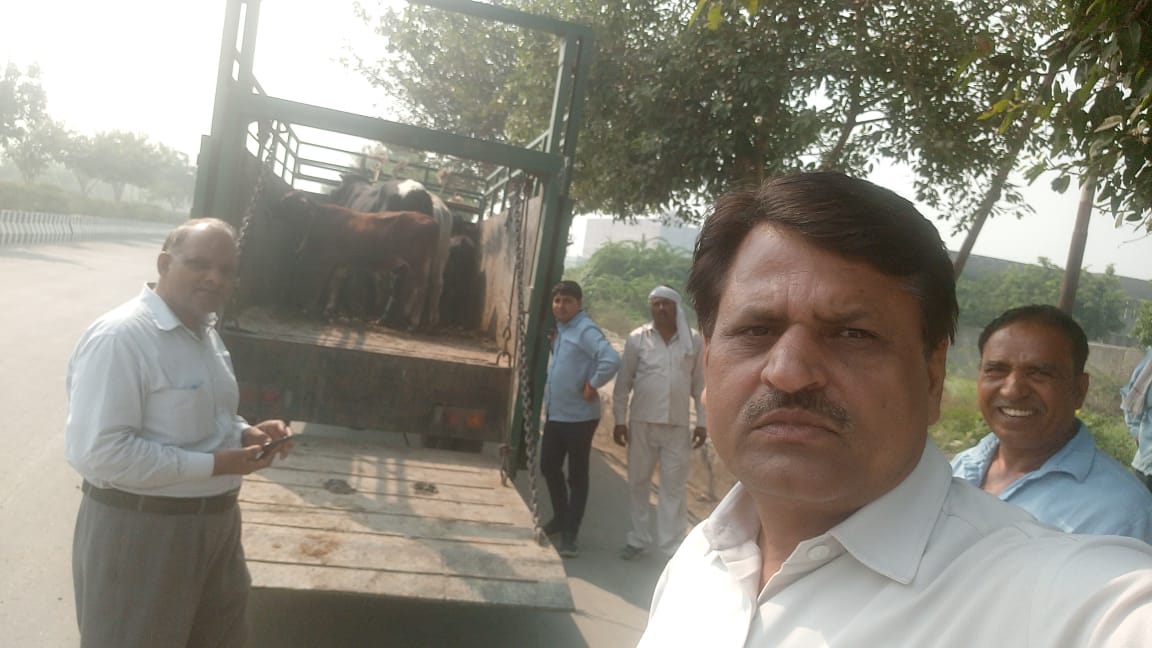 #cleannoida-
Penalty imposed against Polythene use Rs 27500/- &amp; 145 Kg captured;
Open urination &amp; defecation penalty Rs 600/-;
02 institutions Rs 50000/- fined for not following NGT norms; 
11 Cows sent to Gaushala.  
#SwachhSurvekshan2020 <a href="/Satishmahanaup/">Satish Mahana</a> <a href="/noida_authority/">NOIDA Authority</a> <a href="/UPGovt/">Government of UP</a>