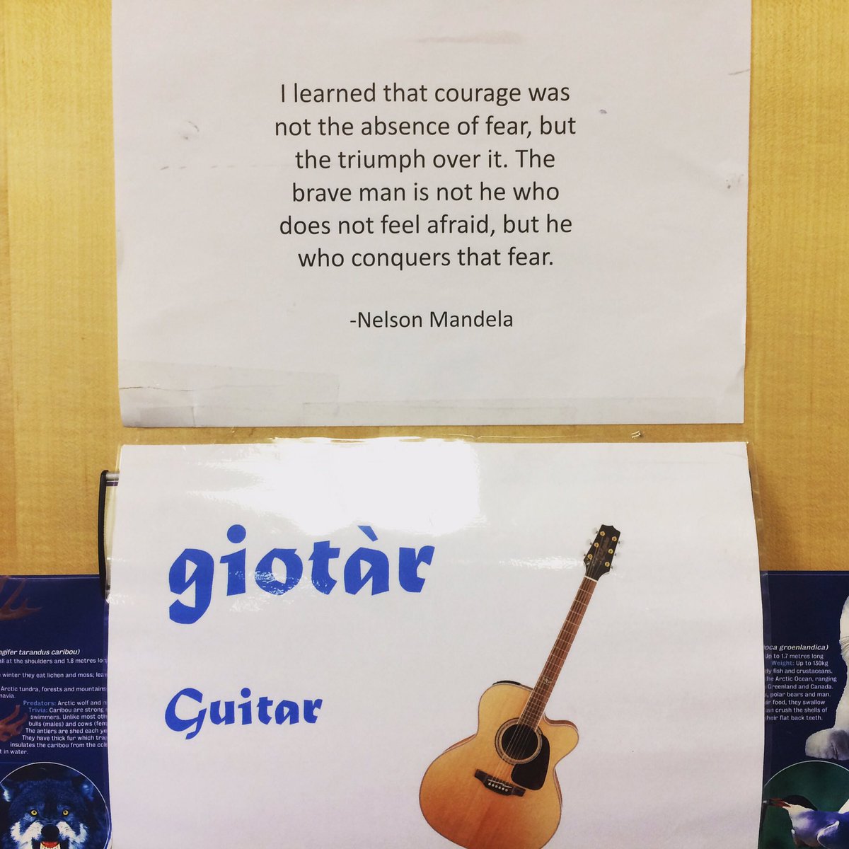 Liamross2112's tweet photo. Having an awesome time teaching guitar to kids and meeting some great people at Fèis a’ Bhaile. #maton #fingerstyleguitar #fingerstyle #guitarteacher #dunloppicks #martinstrings #inverness #highlands #feis #fèisabhaile https://t.co/ceKxfVTgLC