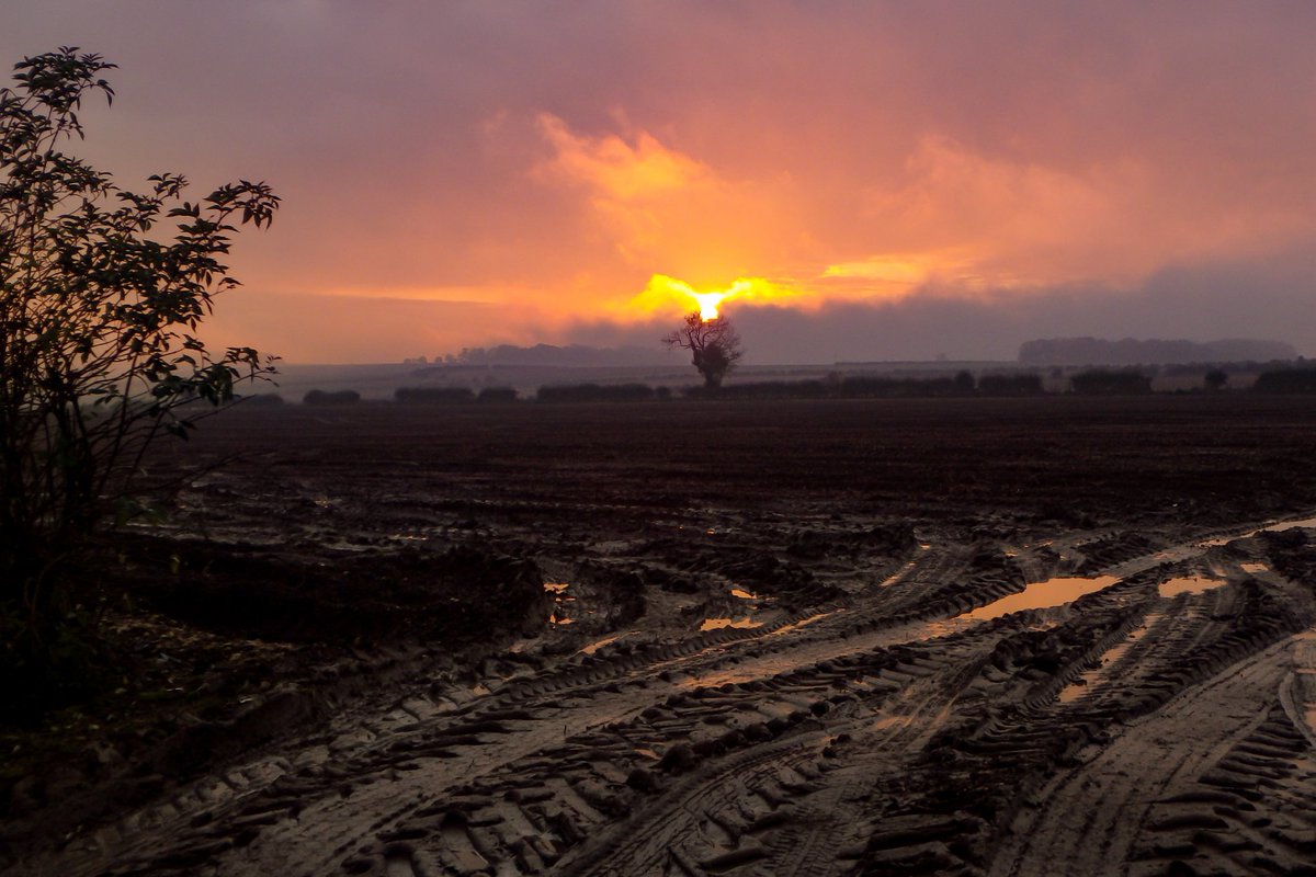 ApertureF2's tweet image. A muddy sunset, near Huggate, Yorkshire Wolds, this evening.