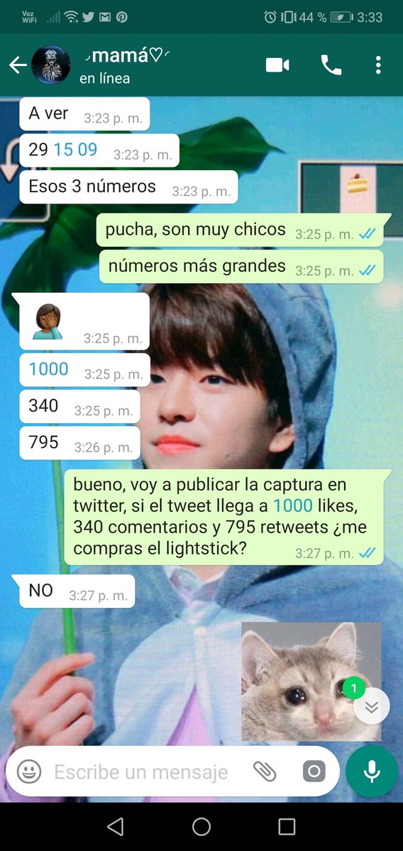 KISSES4SDN's tweet photo. bueno moots me ayudan???? quiero el lightstick de mis bebés😔😔 https://t.co/VFEoUFc4Kp