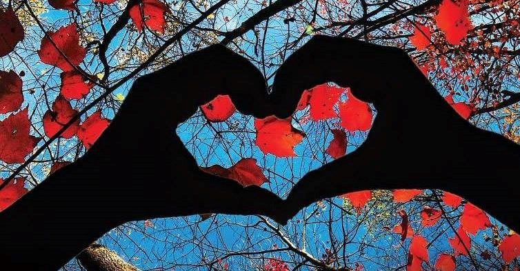 VisitIndiana's tweet photo. We're #LovINFall at Indiana State Park Inns!
After your fall adventure in the park, there’s an ahhhh moment waiting for you at our seven State Park Inns.
Read More: https://t.co/wSKVEHQO1S
#visitindiana https://t.co/e1smwdWV5z