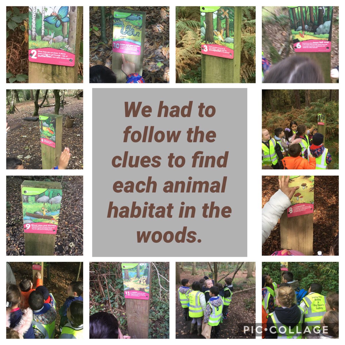 HolyFamilyL8_FS's tweet photo. We have had a lovely day @delamereforest today. The weather was perfect, we explored the trees in Autumn and found ‘The Gruffalo’. #deepdarkwoods #eyfsenrichment #gruffalo https://t.co/3ue3PSdyjz