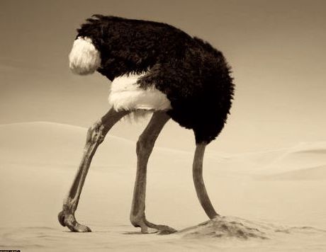 CodeFelixGrafic's tweet image. &quot;Le Port du Voile dans l’Espace Public n’est pas mon Affaire (...)&quot;
Un Président