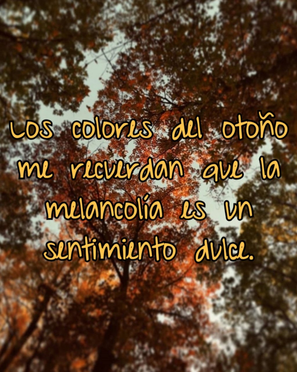 ❃Sofía❃ ツ on Twitter: ❃Sofía❃ ツ on Twitter: