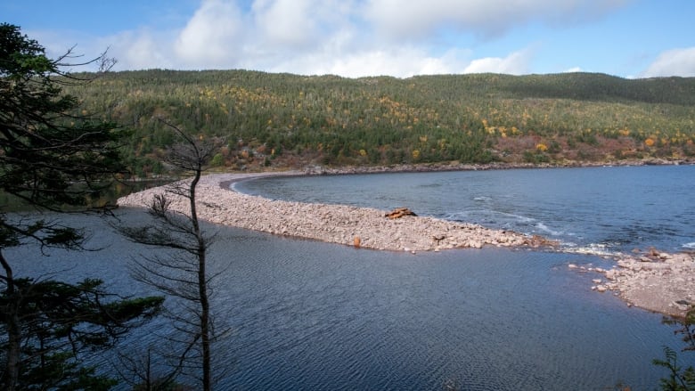 CBCNL's tweet photo. NEW | Freshwater Bay land to be nature reserve after fundraising goal achieved

https://t.co/yV71sjd5fU #cbcnl https://t.co/NSyODdxD4f