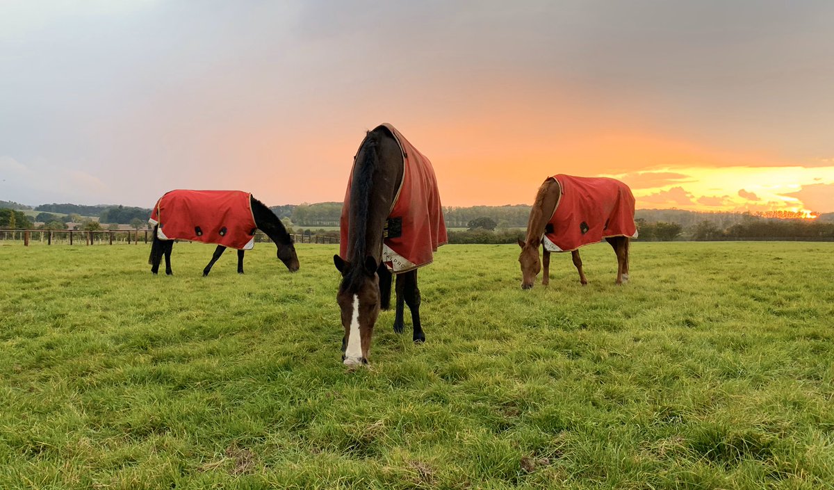 No Norton Disney tomorrow after yet another wet day but at least tomorrow looks more promising - red sky at night and all that!🌤🤞