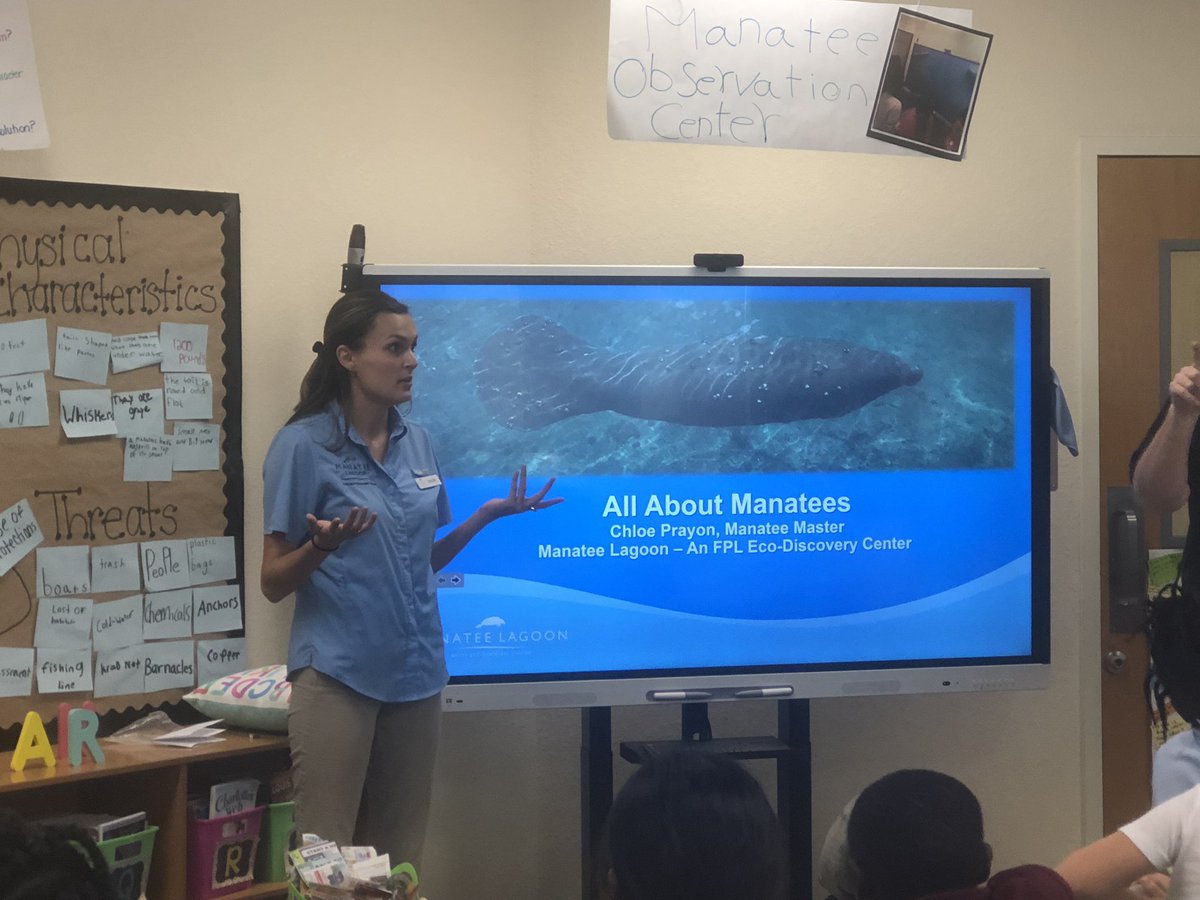 MollyProbel's tweet photo. We were fortunate enough to have Manatee Lagoon come and talk to our students all about manatees. There was definitely an excitement in the room as the students bombarded the manatee expert Chloe with questions. This will help guide our #pbl
#teamprodel #ManateeProtection https://t.co/7slLyFOAzd