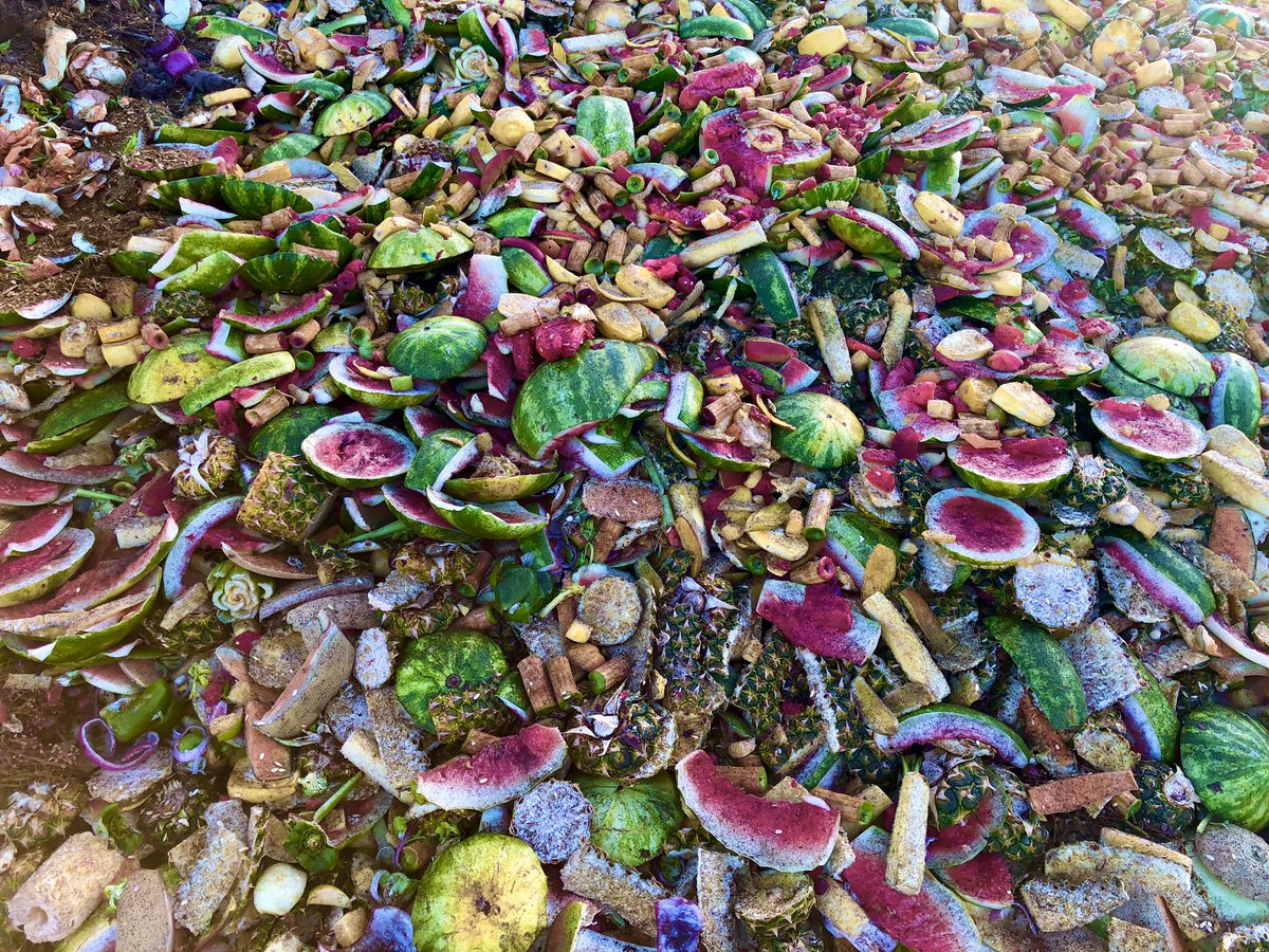 leafmoldcompost's tweet photo. #compost is sexy.... pics taken at @TGU_tweets on October, 24th in the AM hours.
#leafmold #leafmoldcompost 
https://t.co/RJsMeDY7yO https://t.co/acAAbdZwgS