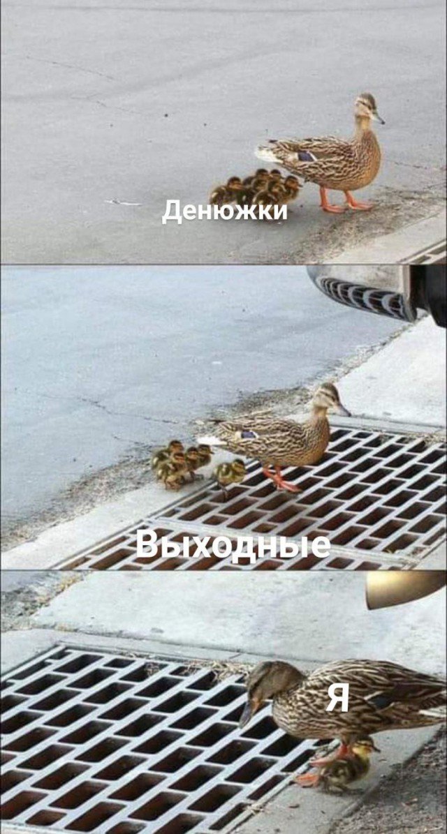 yaplakalcom's tweet image. 