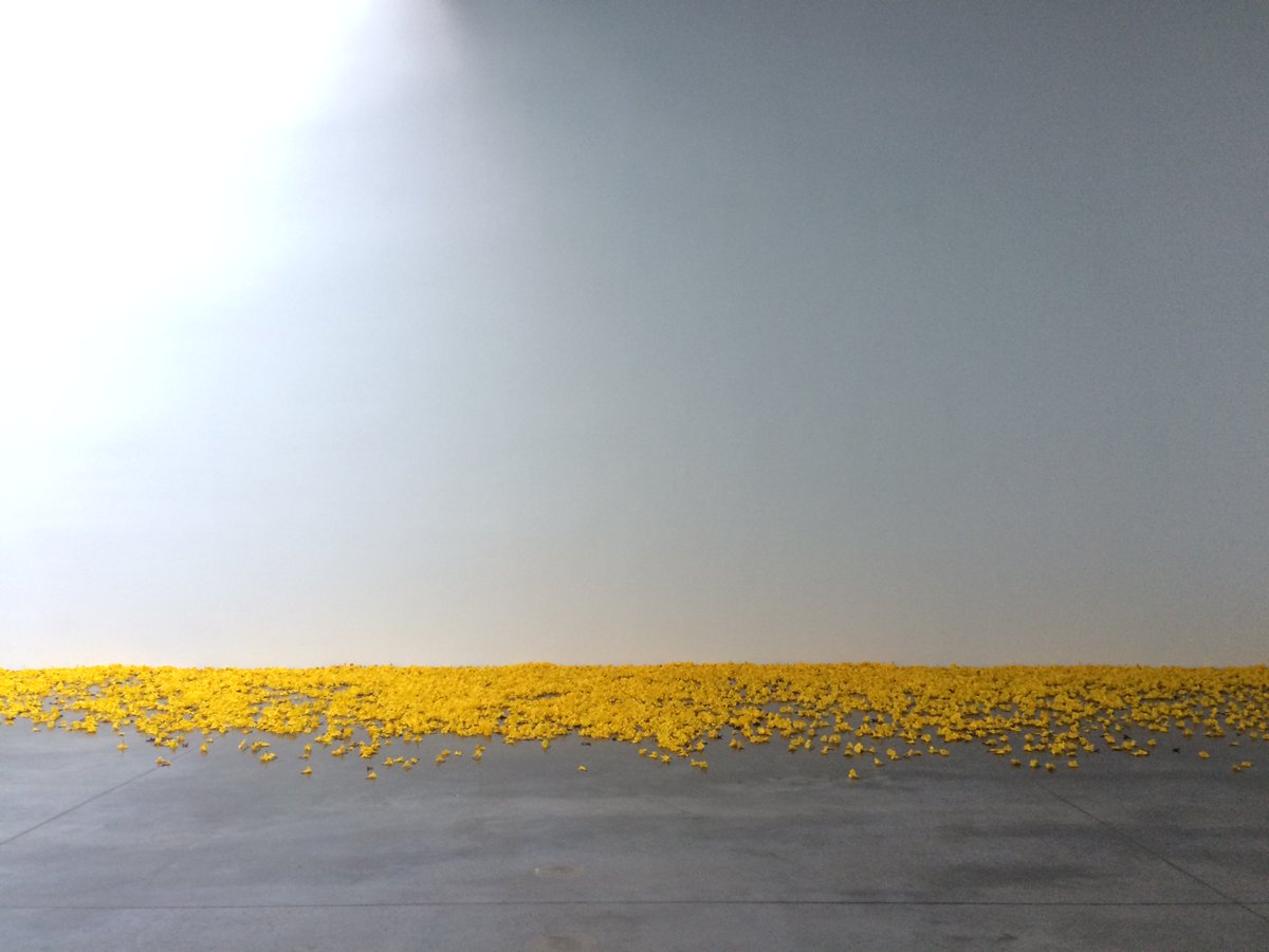 CC/AA Out and About at Gladstone Gallery in New York. Amazing work by Allora &amp; Calzadilla from 17,500 Recycled Polyvinyl Chloride flowers. 

#ccaaoutandabout #allora&amp;calzadilla #gladstonegallery #nyart #nyc #installationart