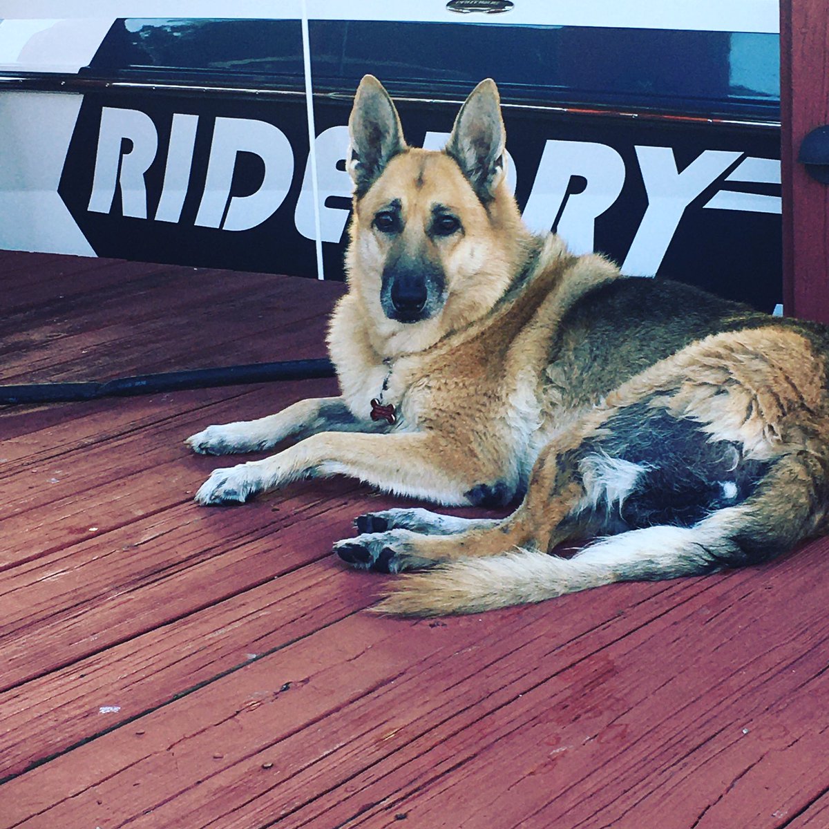 She is just one more reason to Ride Dry Drive Dry