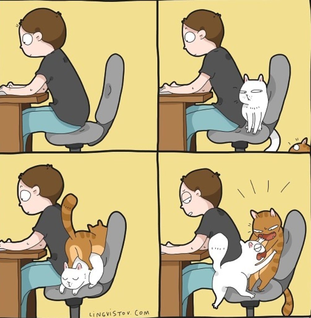 Удаленка коты