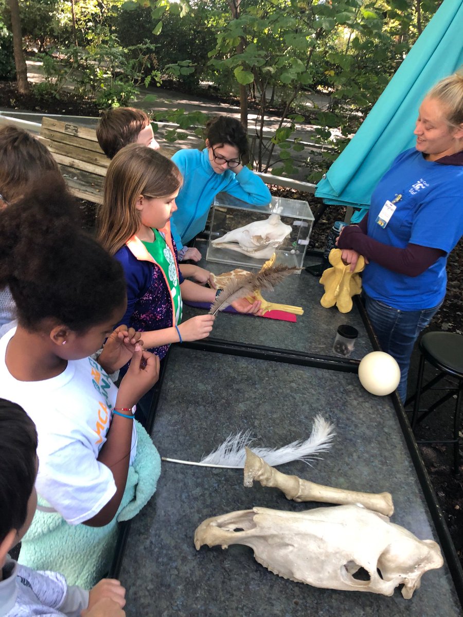 Reminiscing on good times at the zoo!!!