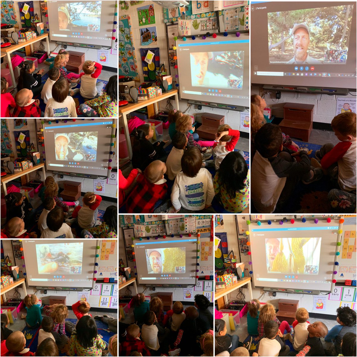 mrstannerkinder's tweet photo. Thank you so much to Ranger Daniel from Point Lobos Natural Reserve for telling us all about Kelp Forests and why they are so important during our #MicrosoftEdu #skype #virtualfieldtrip this afternoon!!! https://t.co/1JLiBIbVaZ