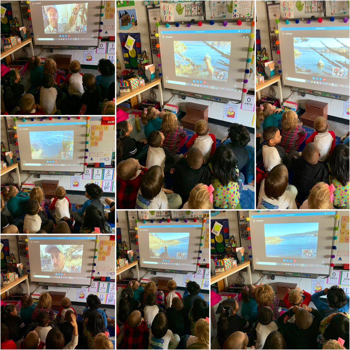 mrstannerkinder's tweet photo. Thank you so much to Ranger Daniel from Point Lobos Natural Reserve for telling us all about Kelp Forests and why they are so important during our #MicrosoftEdu #skype #virtualfieldtrip this afternoon!!! https://t.co/1JLiBIbVaZ