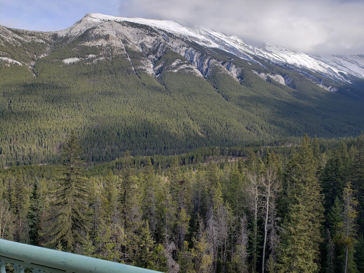 Dallas Seitz (@dallasseitz) on Twitter photo Excited to be in #banff for the CAGP CCSMH 2019 annual meeting! #cagpccsmh2019 <a href="/CAGPsych/">Canadian Academy of Geriatric Psychiatry</a> Excited to be in #banff for the CAGP CCSMH 2019 annual meeting! #cagpccsmh2019 <a href="/CAGPsych/">Canadian Academy of Geriatric Psychiatry</a>
