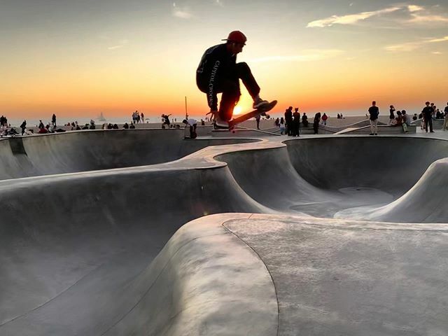 Elisabetta Artemisia Ferrari tweet media