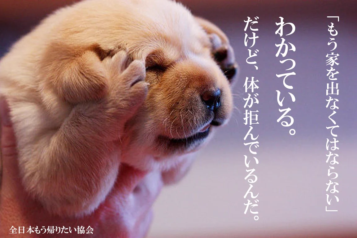 もう家を出なきゃいけないのは分かっているけど。体が拒んでいるんだww
