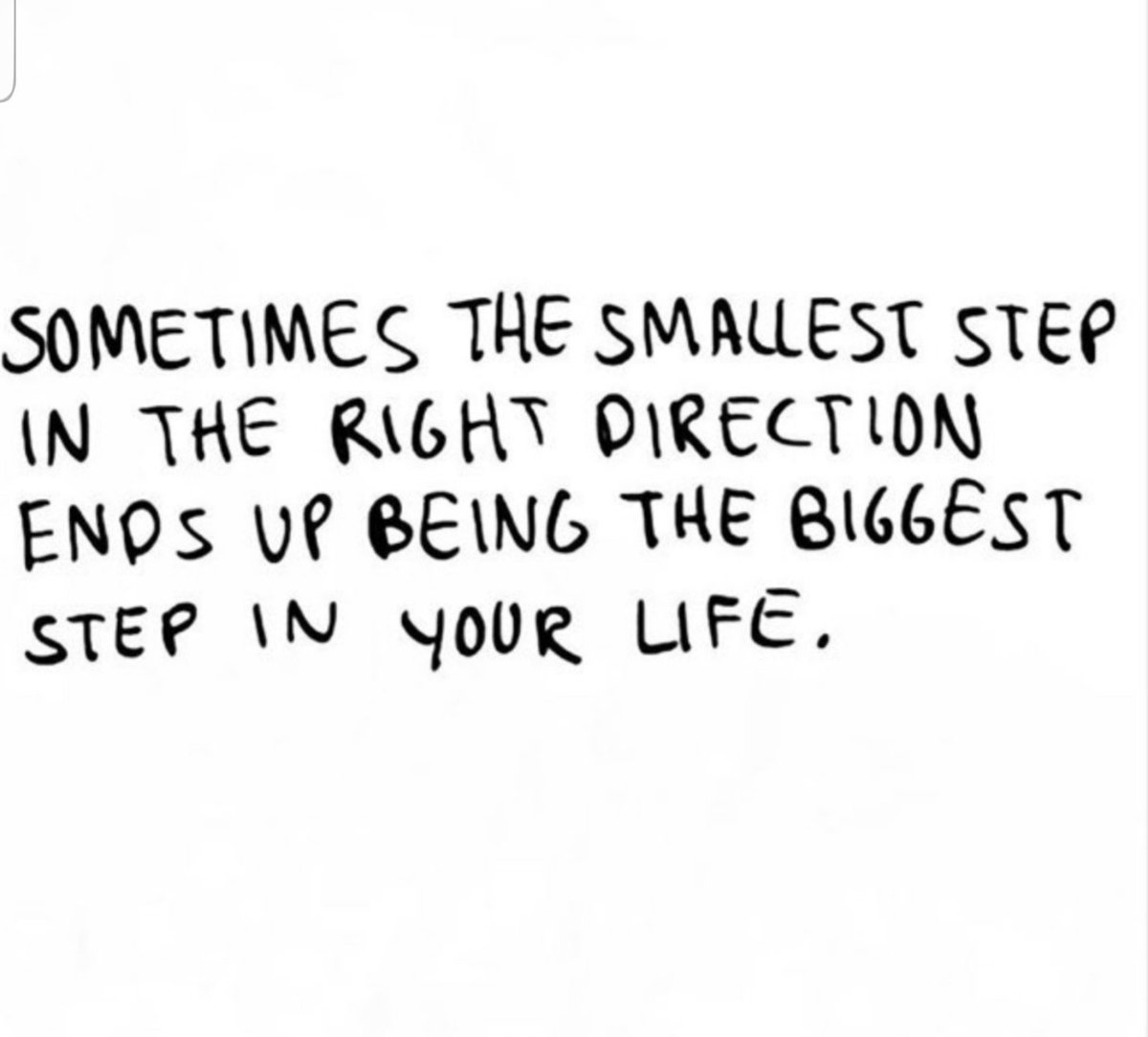 everythingtoat (@everythingtoat) on Twitter photo 