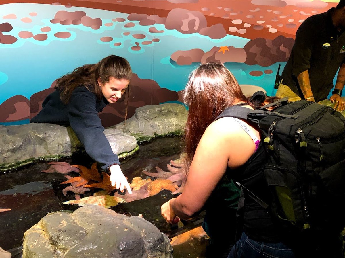 SheddLearning's tweet photo. What's your favorite part of #SheddTeenWorkStudy?
"Helping guests learn about the animals at Sea Star touch is so much fun!"
-Claire, Young Naturalist https://t.co/paawx4n8vU