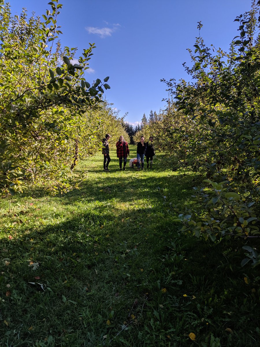 Our #Foods421 class hit the road to pick apples at #arlingtonorchards Did you know they grow 34 different varieties? 🍎 @AgInfoPEI #Blazers #KRHS @Islanders4Farms #applecrisp #candyapples #applesfordays