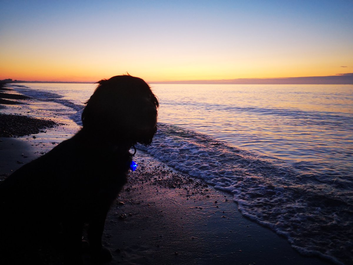 To start you day with the light building, the air fresh and a beach dog walk - who wouldn't want to live by the sea! #ohidoliketobebesidetheseaside #loveportsmouth #lovesouthsea #sunrisewalks #embracelife #wellbeing #mindfulness #headspace clocks go back at the weekend!