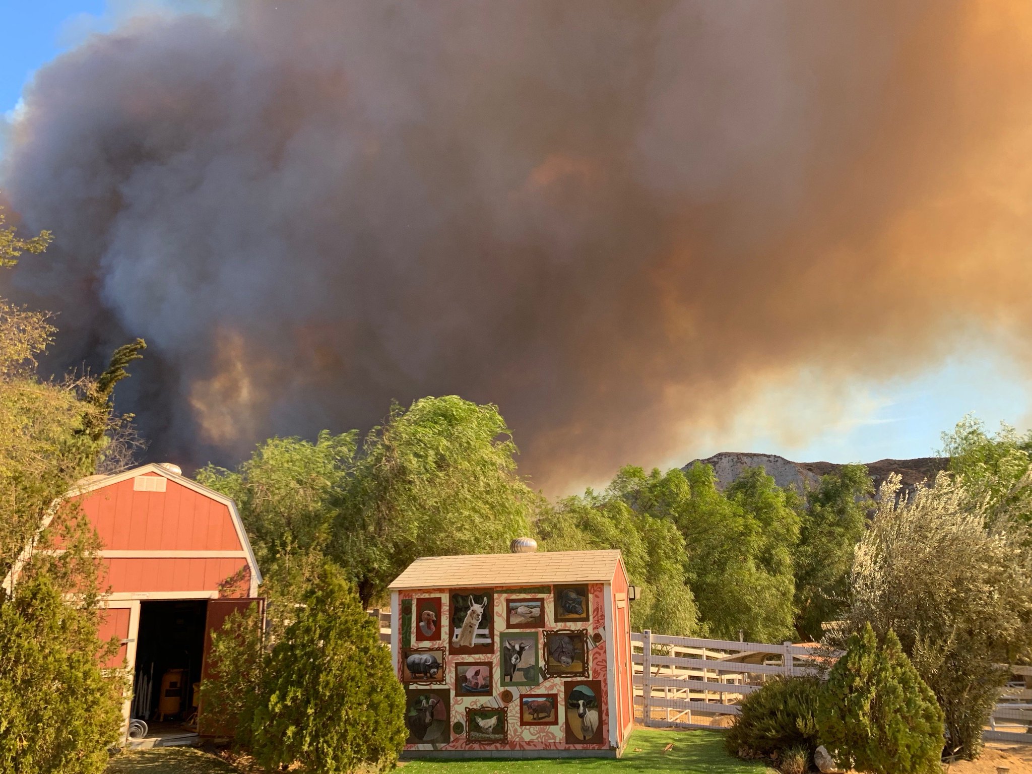 The Gentle Barn On Twitter Urgent Fire Alert Tickfire Is