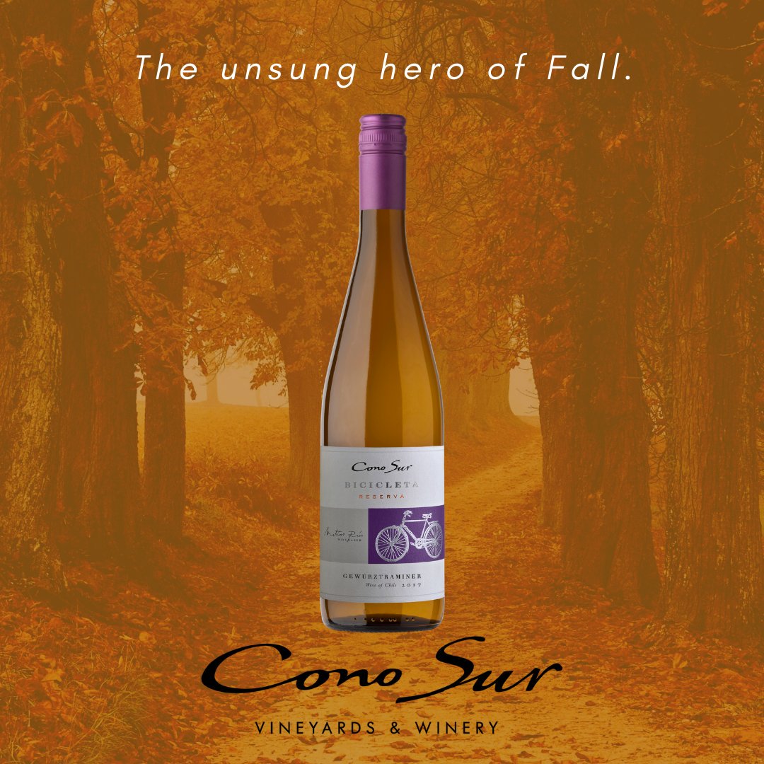 Bright and intense. The <a href="/ConoSurWines/">Cono Sur Wines</a> Bicicleta Gewurztraminer boasts intense, fresh aromas including floral notes such as rose petals, orange blossom, and litchi. A perfect pairing for spicy Asian cuisine best to curl up with during the windy, throes of fall! .