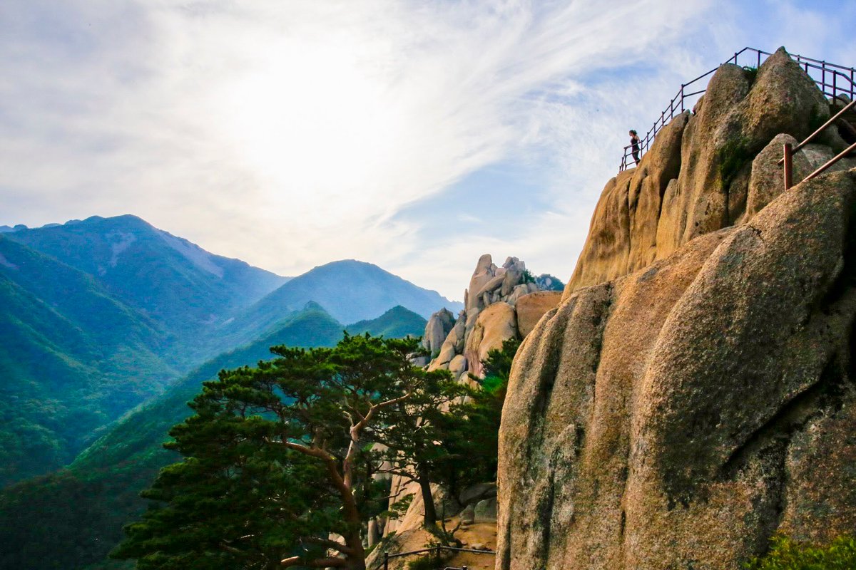 Amber Lowey tweet media