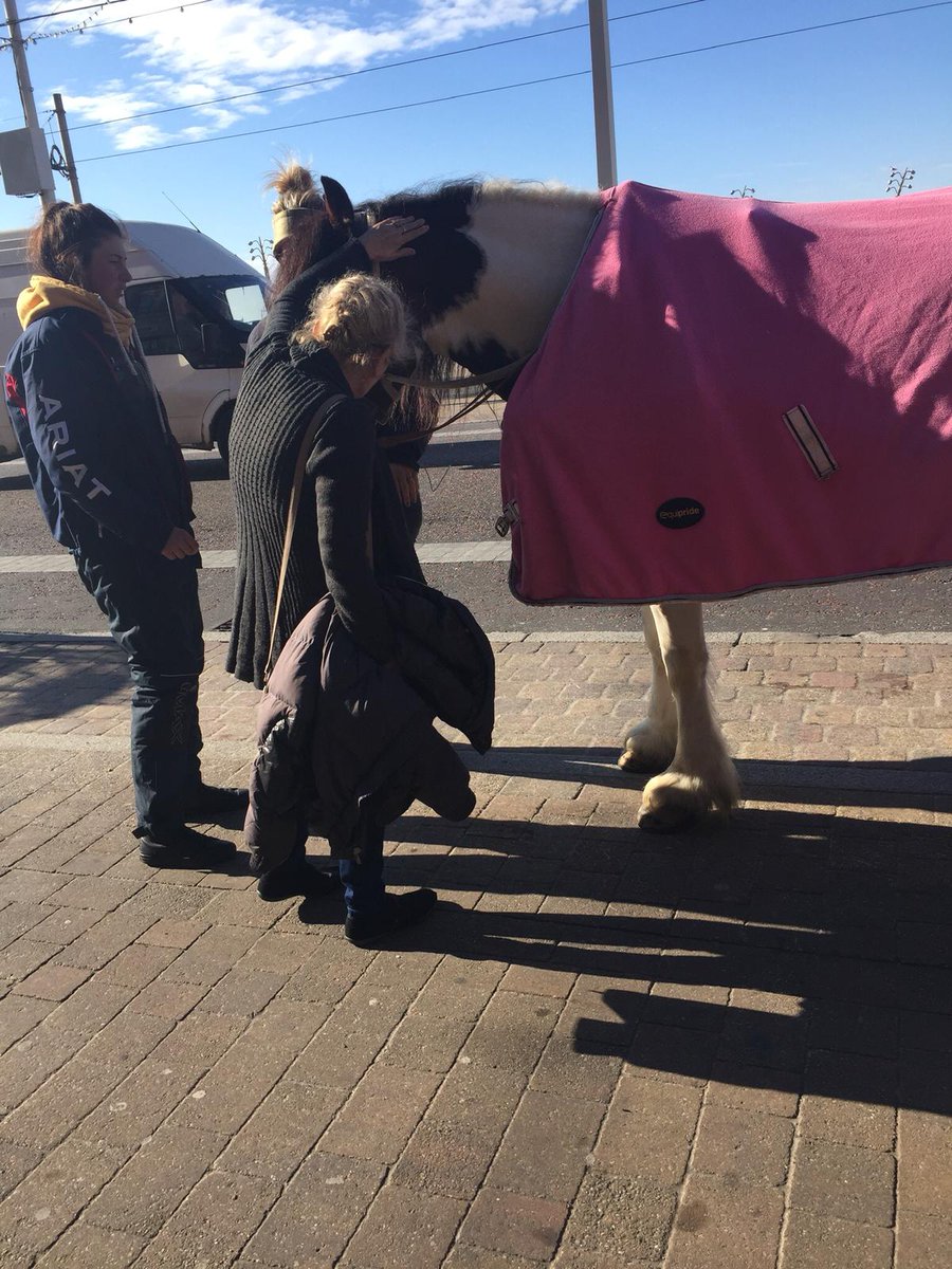 NHC_Helenas's tweet photo. Residents and staff @NHC_Helenas enjoyed their day out yesterday to Blackpool! We visited the pier, beach, arcade and even stroked the horses! 🗼#WeareNHC https://t.co/PJGwWx9Vp5