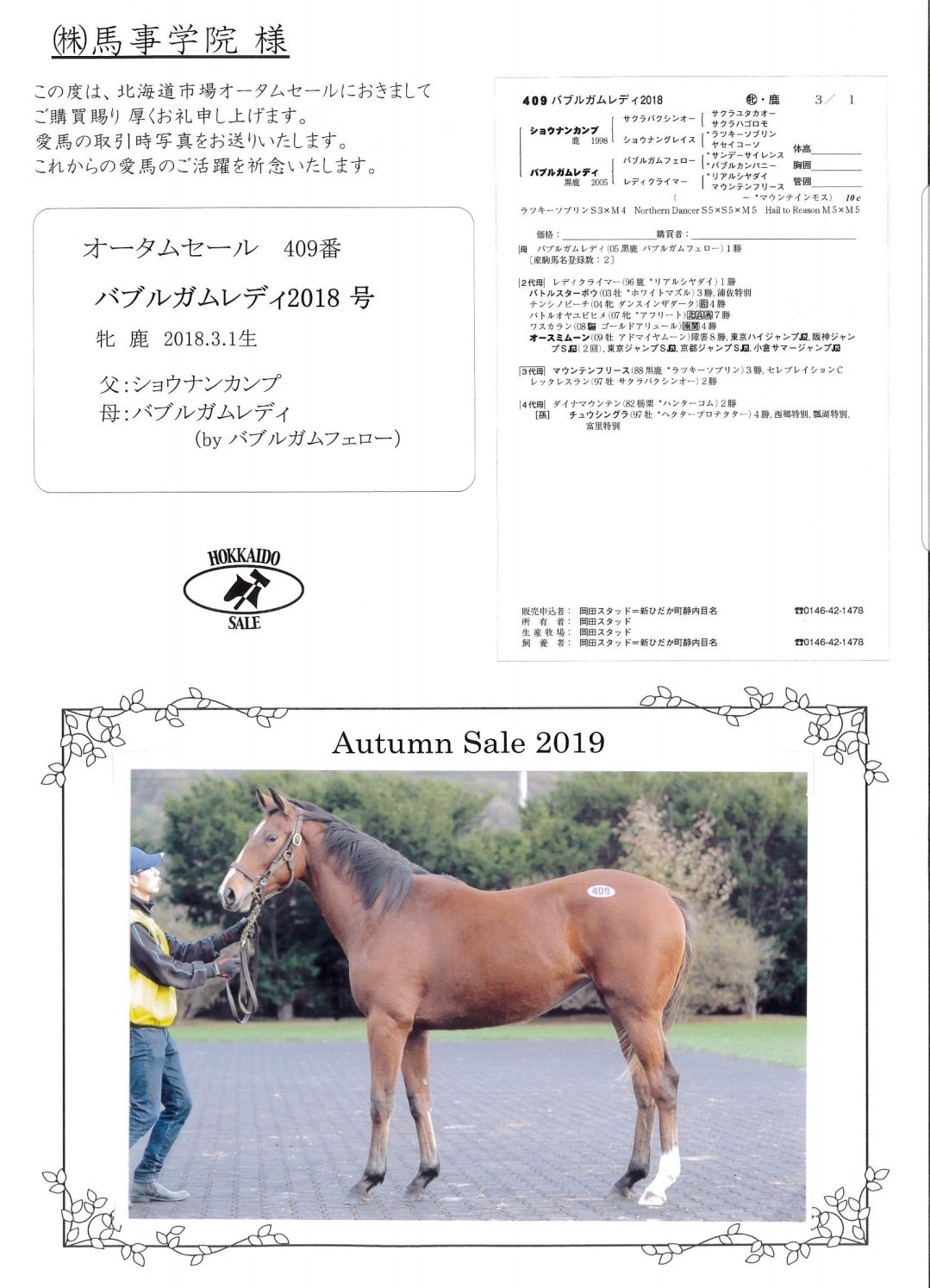 馬の学校 馬事学院 バジガク 引退馬を活用し人材 厩務員学校 東関東馬事専門学院 高等学院 八街市 オータムセール19のクラウドファンディングで購入させて頂いた馬です バジガク購入馬2