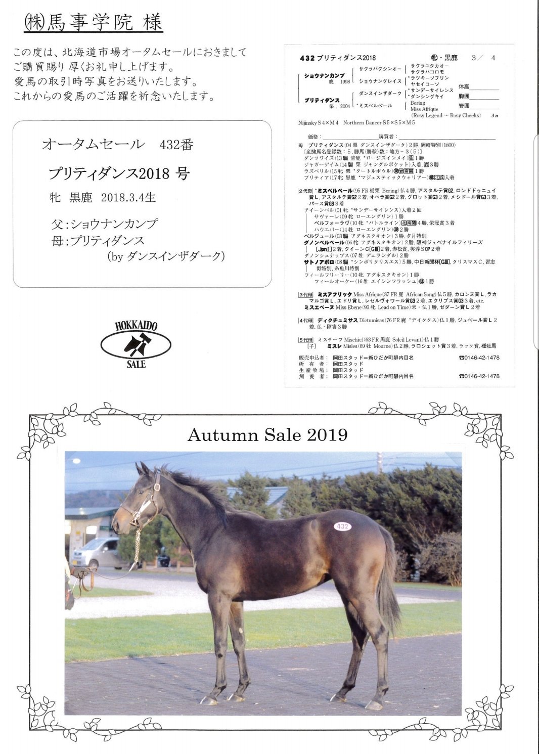 馬の学校 馬事学院 バジガク 引退馬を活用し人材 厩務員学校 東関東馬事専門学院 高等学院 八街市 オータムセール19のクラウドファンディングで購入させて頂いた馬です バジガク購入馬2