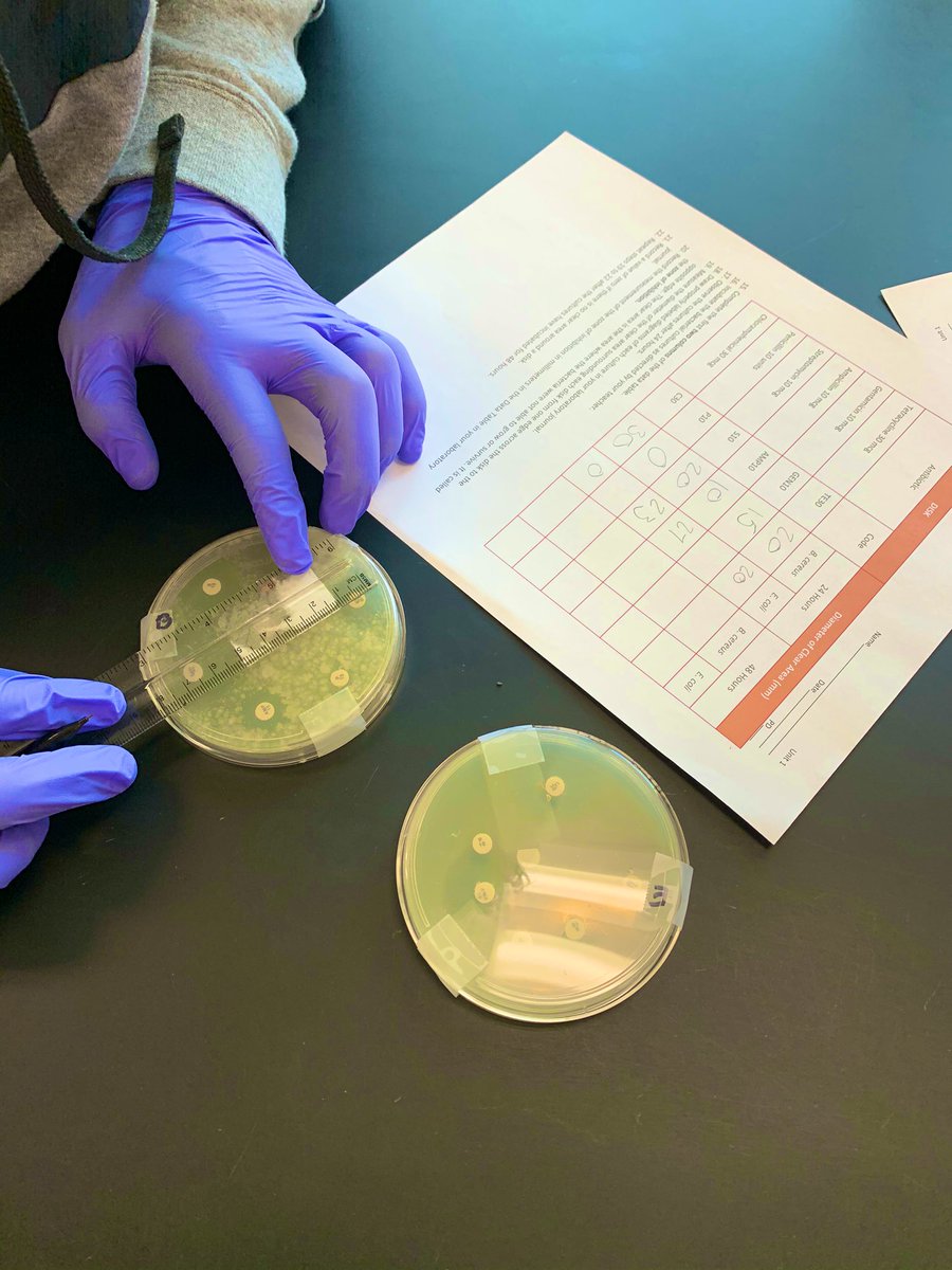 EHS_Biomed's tweet photo. MI students trying to determine which antibiotic works best! https://t.co/Xh1fYzqCYW