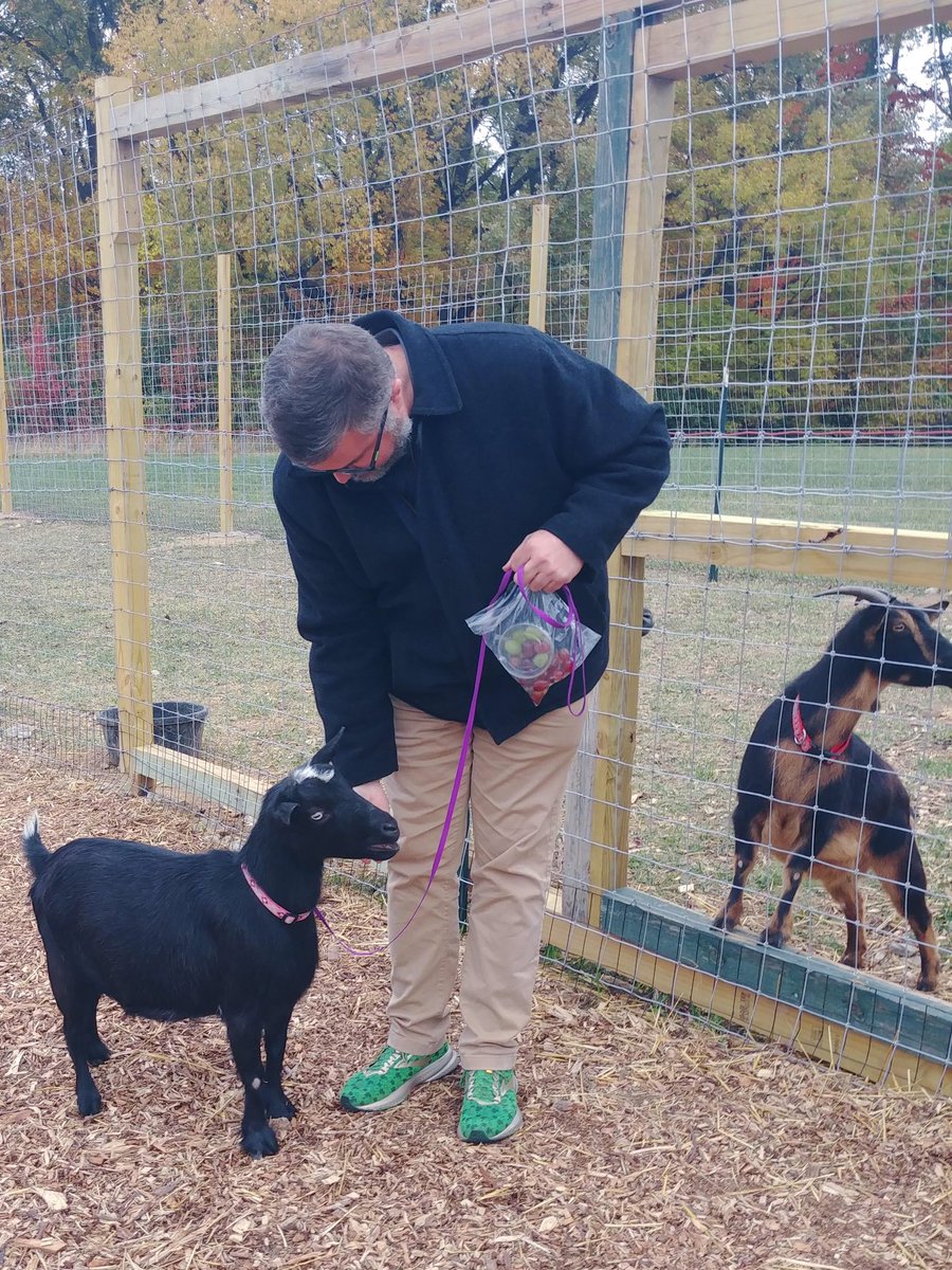 BeckyFloetker's tweet photo. Thank you, Mr. Johnson, for taking time to answer our many goat questions today! Thank you to Charlotte, Daffodil, Stella, and Matilda, too! 🐐 @RSIgoldenflock @RSIHawks @KLothamer @Marc_Dashiell https://t.co/SdRsqxiABS