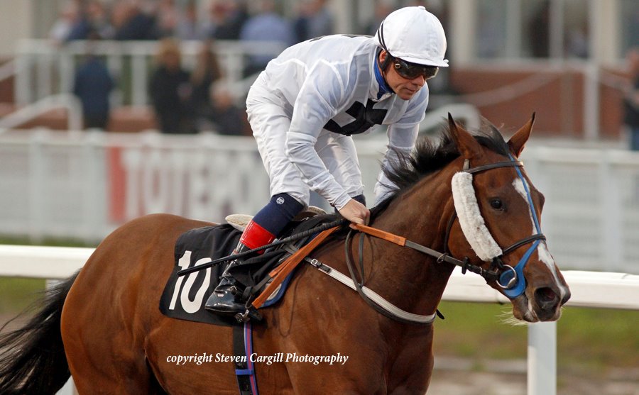 Steven_Cargill's tweet photo. 5th start, 1st win for filly GODDESS OF FIRE @adimccarthy in 10f 2yo handicap @ChelmsfordCRC tonight for @AlShaqabRacing Toronado @JohnRyanRacing @EarlofGodolphin https://t.co/XKMlyB0PWL