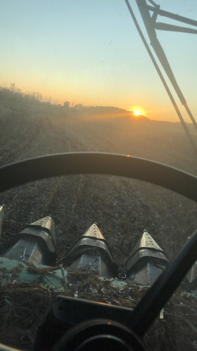 MichaelNaber3's tweet photo. Harvest finally begins https://t.co/OJNYf0aBOR