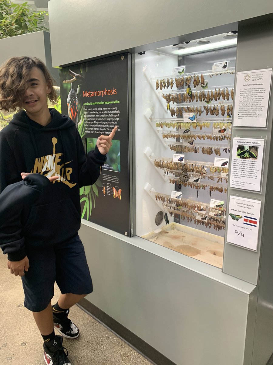 teachermciver's tweet image. And that was a great adventure! We loved our trip to @calacademy and I ❤️ these adventurous 7th graders! #letsexplore #westlakecharter #wcsjoyfullearning