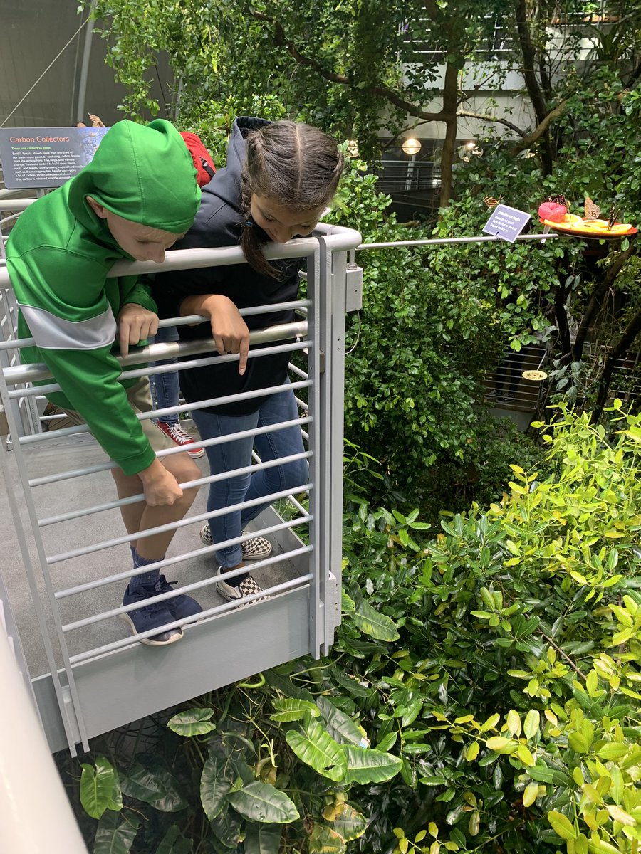 teachermciver's tweet image. And that was a great adventure! We loved our trip to @calacademy and I ❤️ these adventurous 7th graders! #letsexplore #westlakecharter #wcsjoyfullearning