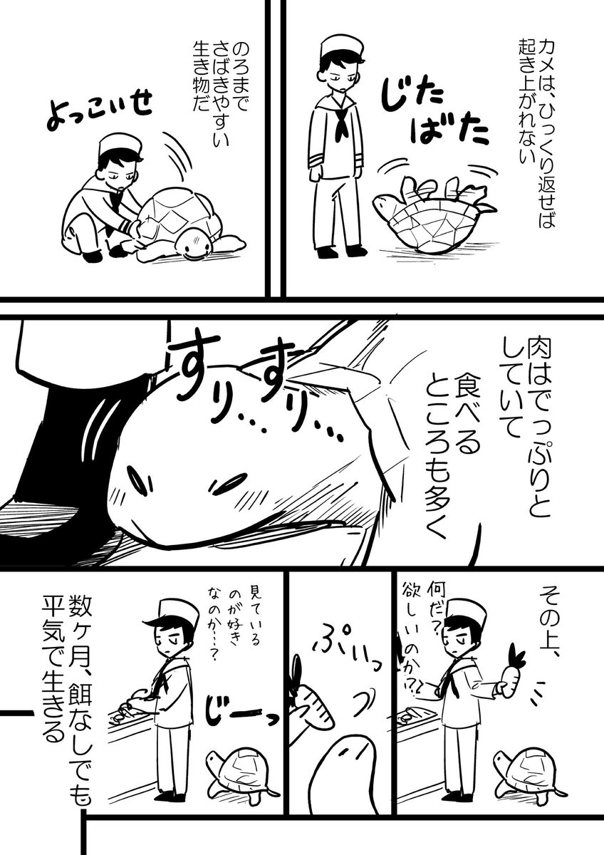 俺が船乗りだった頃の話
1/2 